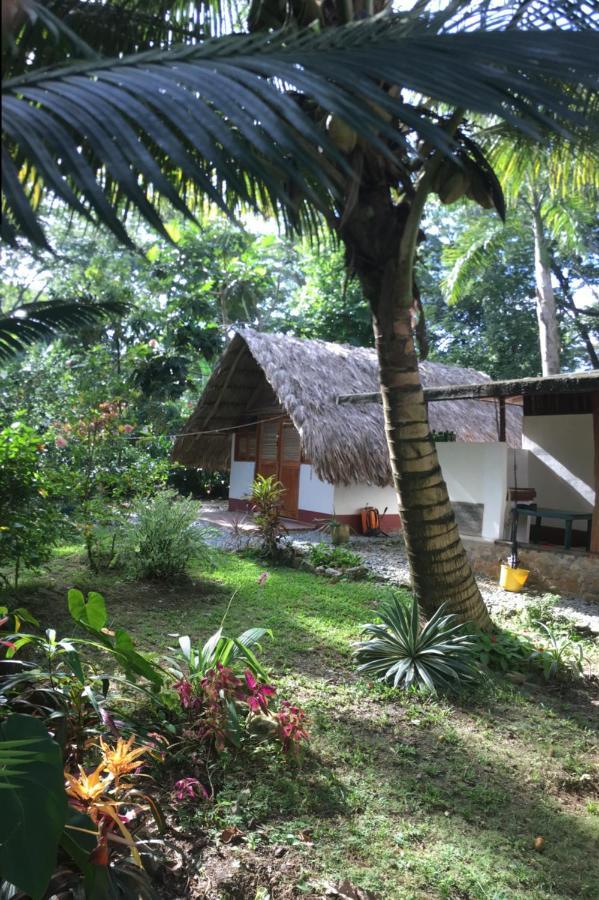 Cabanas Tucan Eco Hotel Capurgana Exterior photo